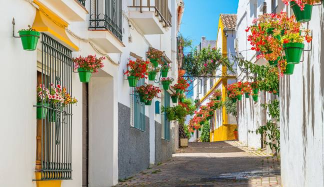 Read more about the article Living in Estepona