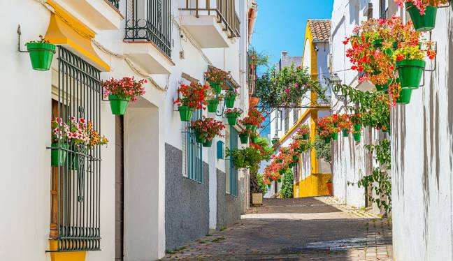 Lee más sobre el artículo La vida moderna en Estepona
